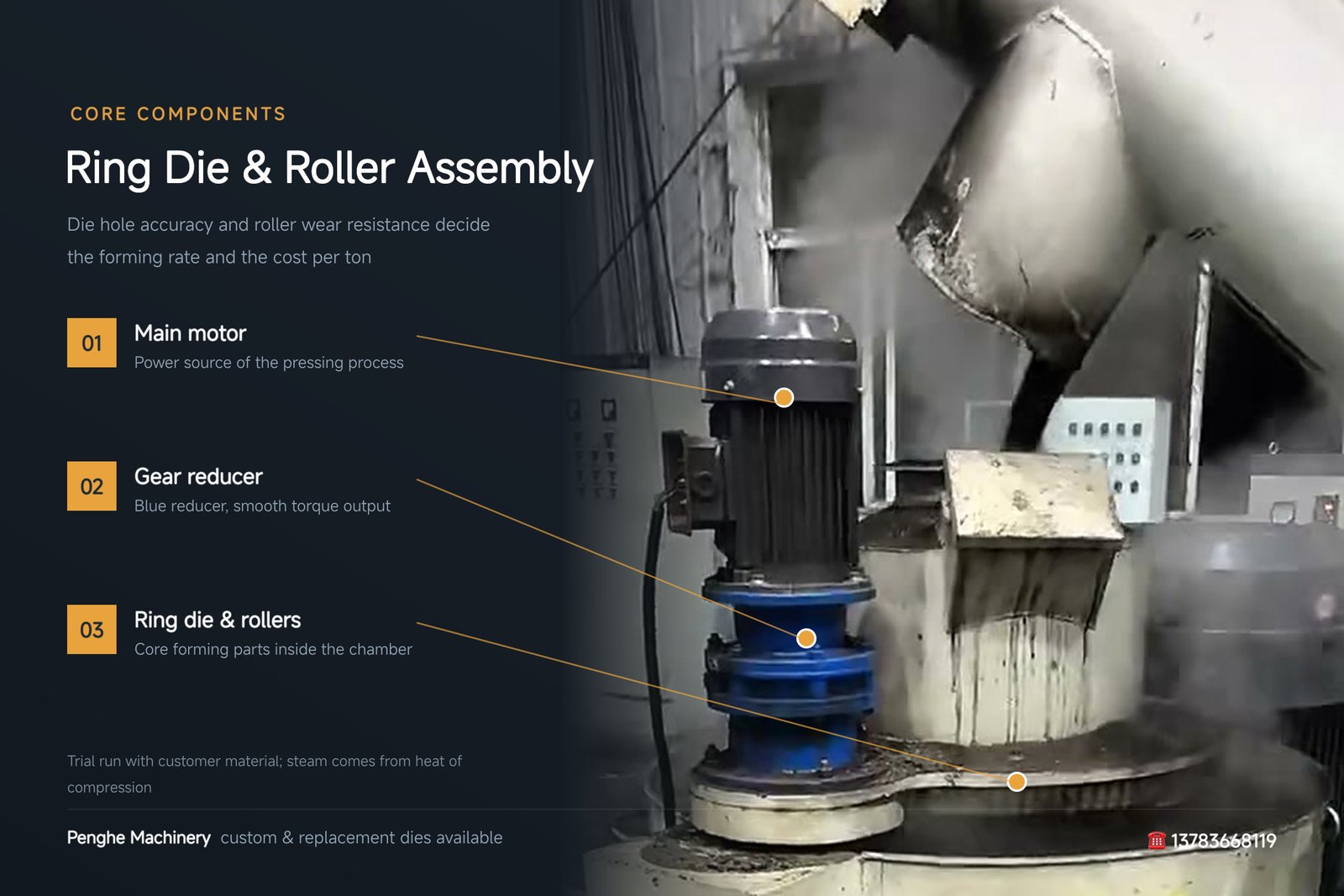 Alloy steel ring die and roller assembly of a pellet machine, close-up