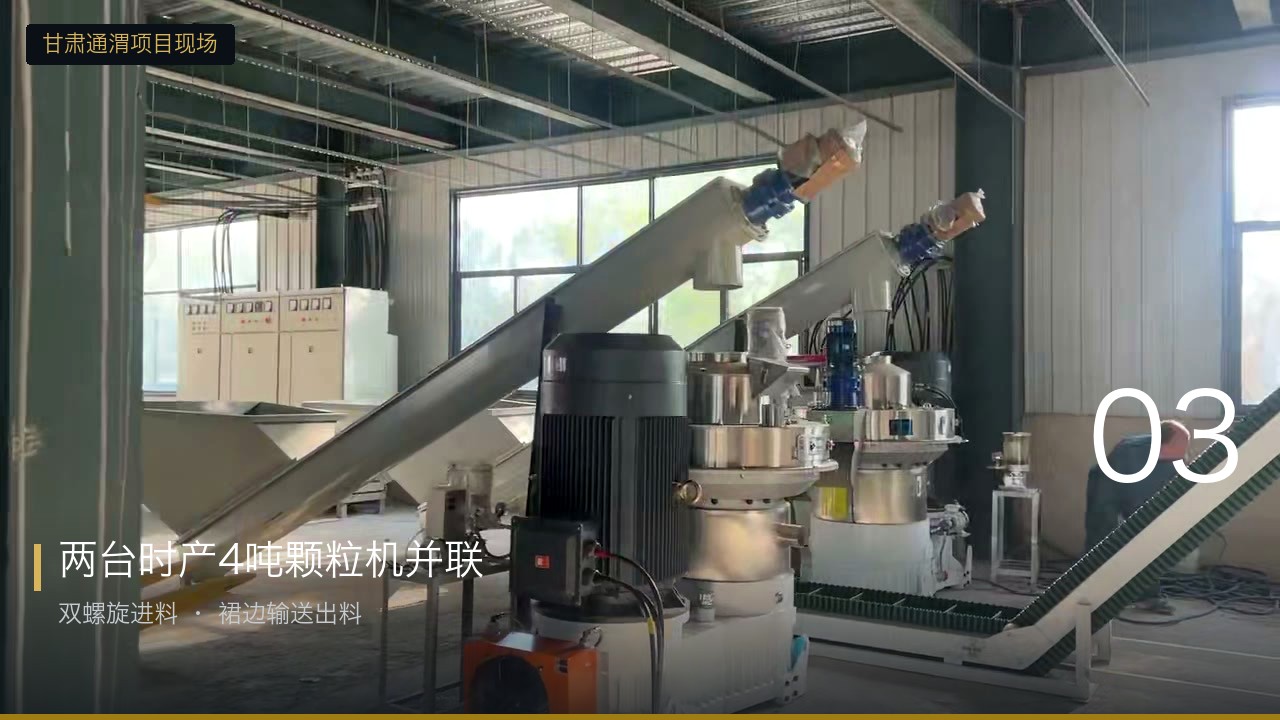 两台时产4吨颗粒机并联运行,双螺旋进料、裙边输送出料